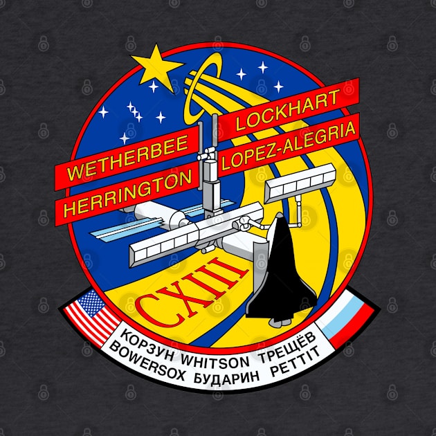 STS-113 by Rush Creative Tees